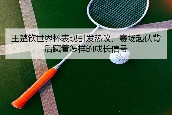 王楚钦世界杯表现引发热议，赛场起伏背后藏着怎样的成长信号
